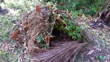 Build a simple shelter