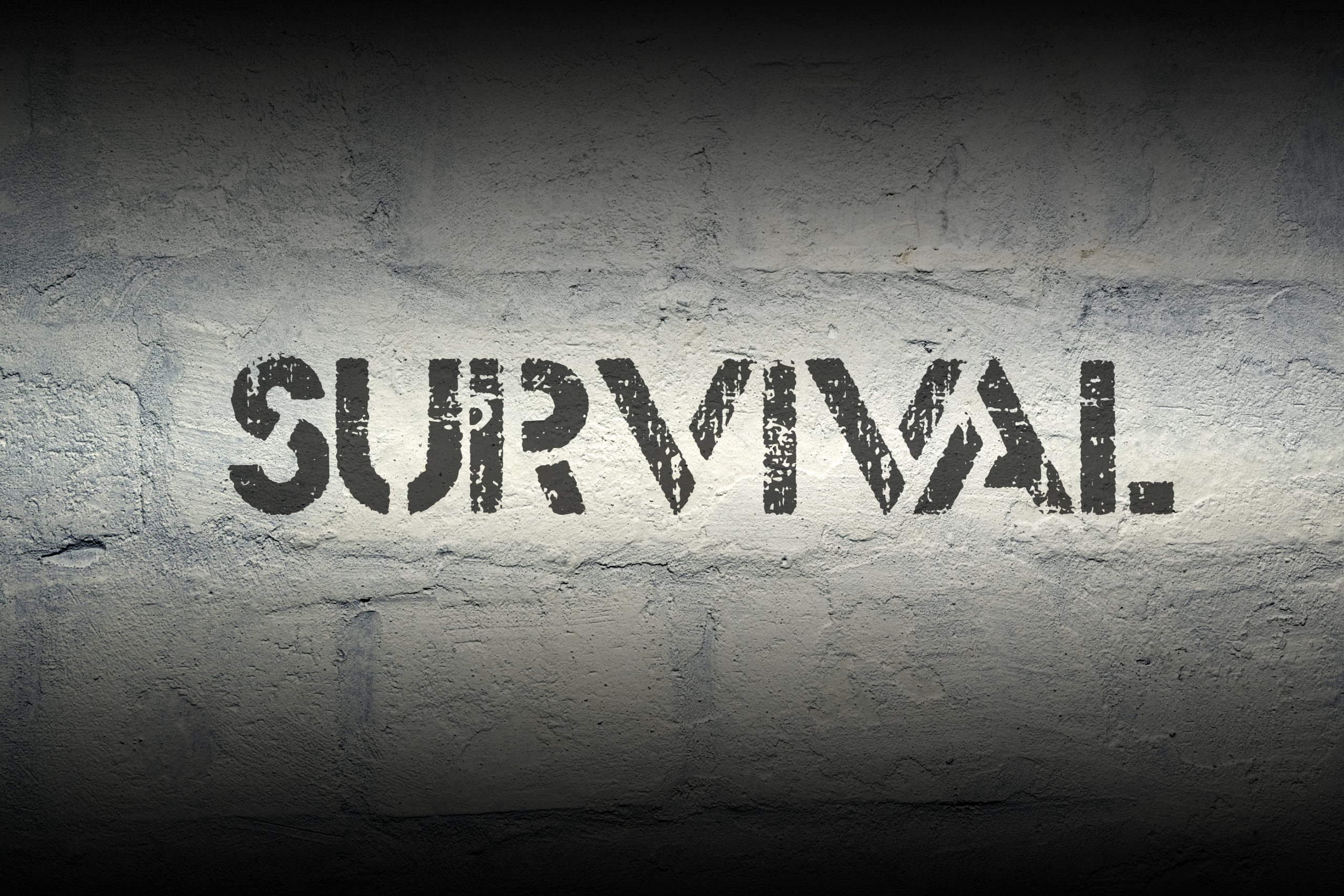 Survival Text
