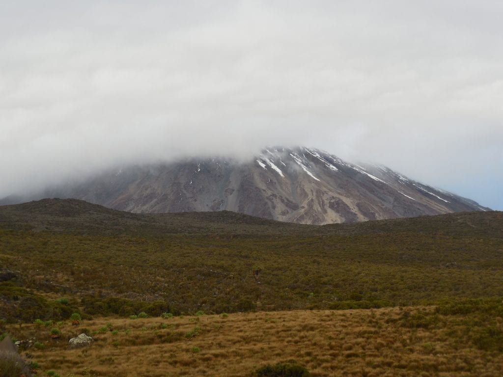 Kilimanjaro 19