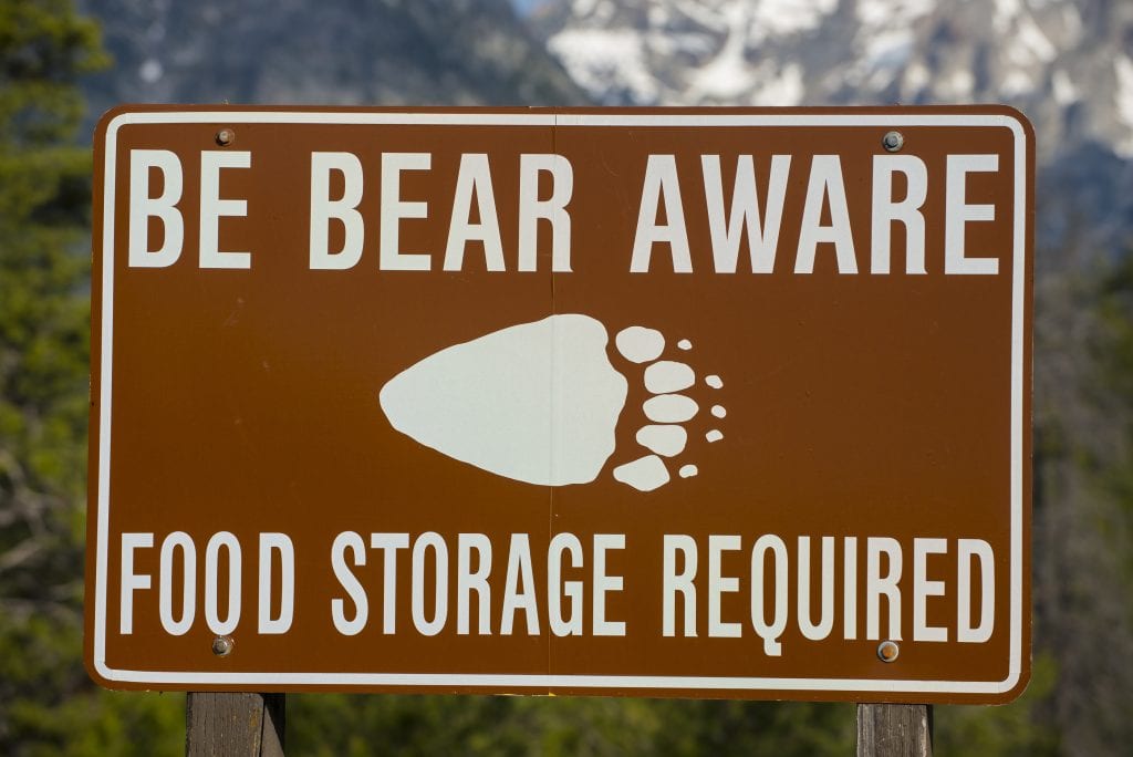 Avoiding Bear Problems 5