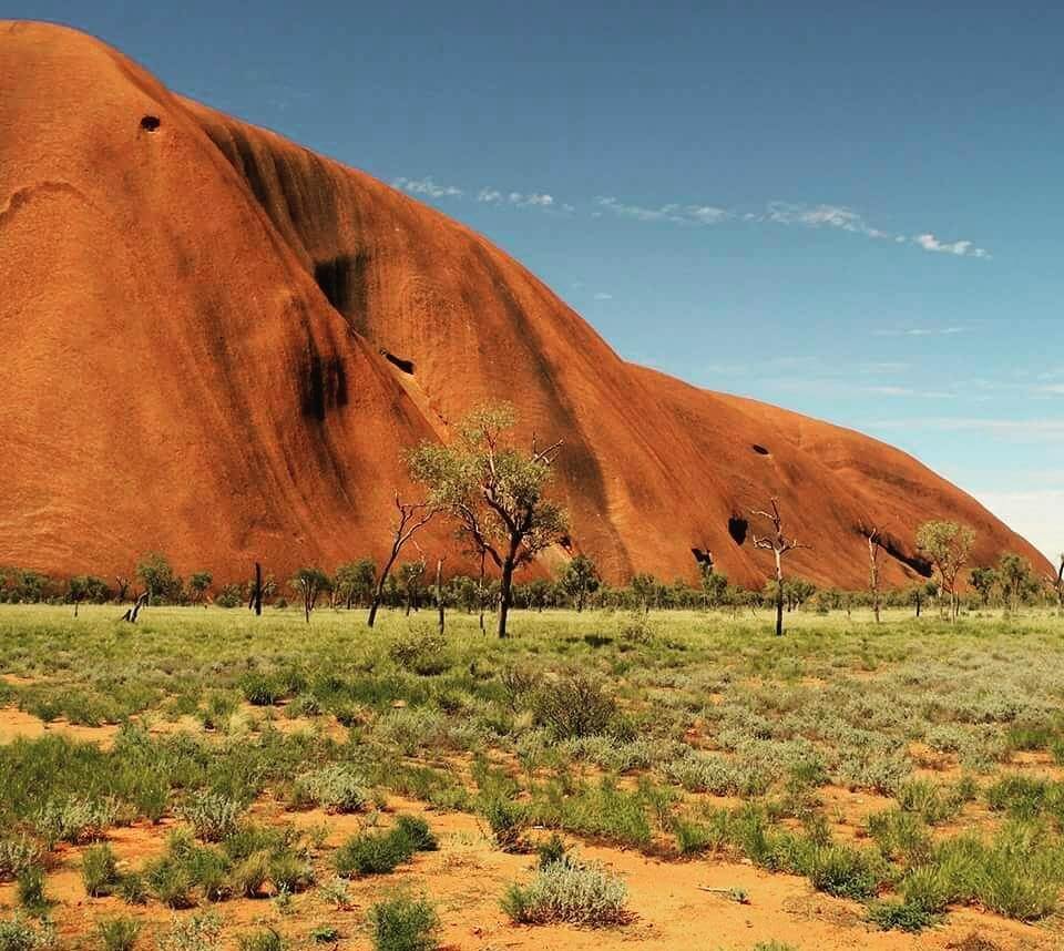 5 Unforgettable Camping Spots in Australia 6 AliceSprings
