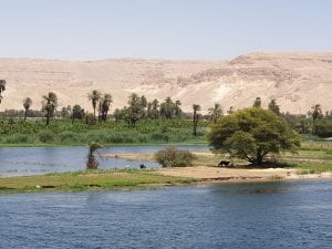 Nile Egypt 22