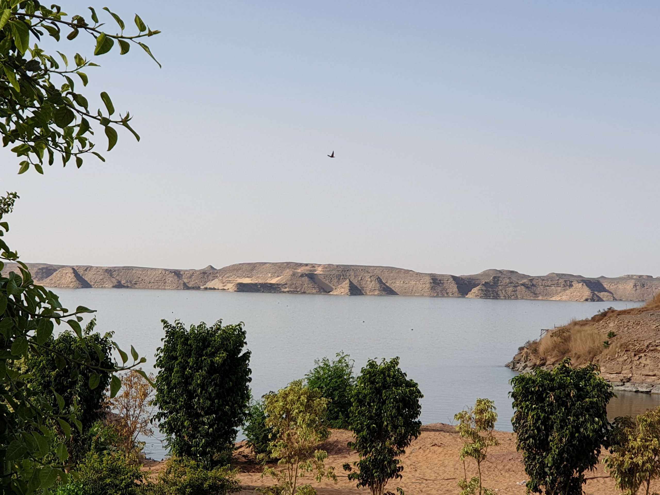 A great view across southern Lake Nasser, wouldn't you agree? 