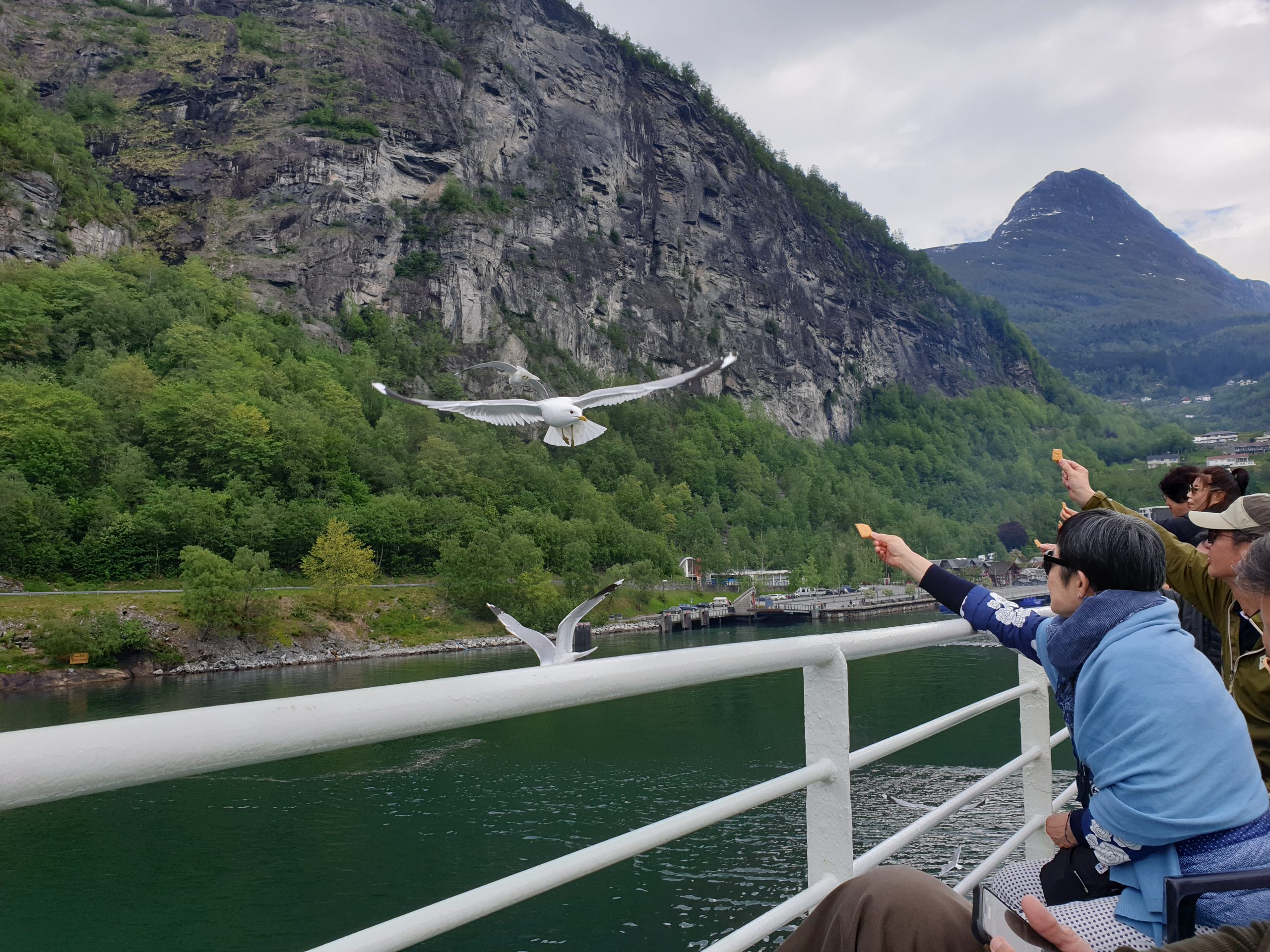 Tourists feeding seagulls at Geirangerfjord