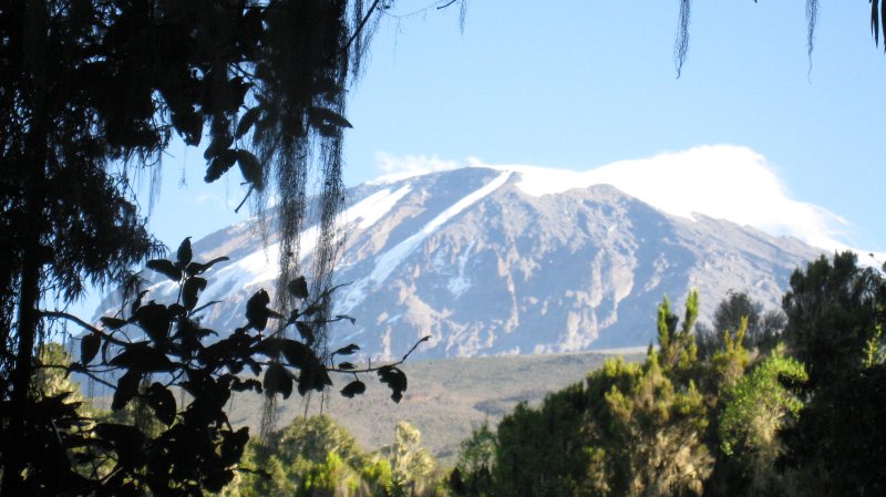 Kilimandjaro depuis les contreforts 1585468364 37095