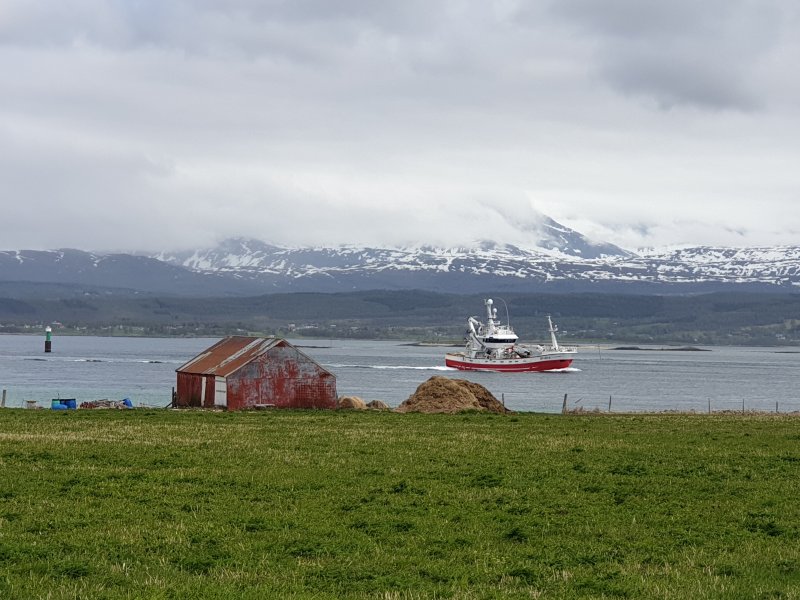 Boat near the Lofoten Islands