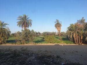 Cairo to Aswan 11