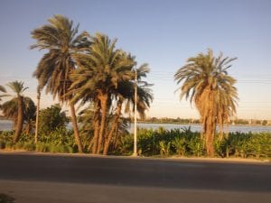 Cairo to Aswan 12