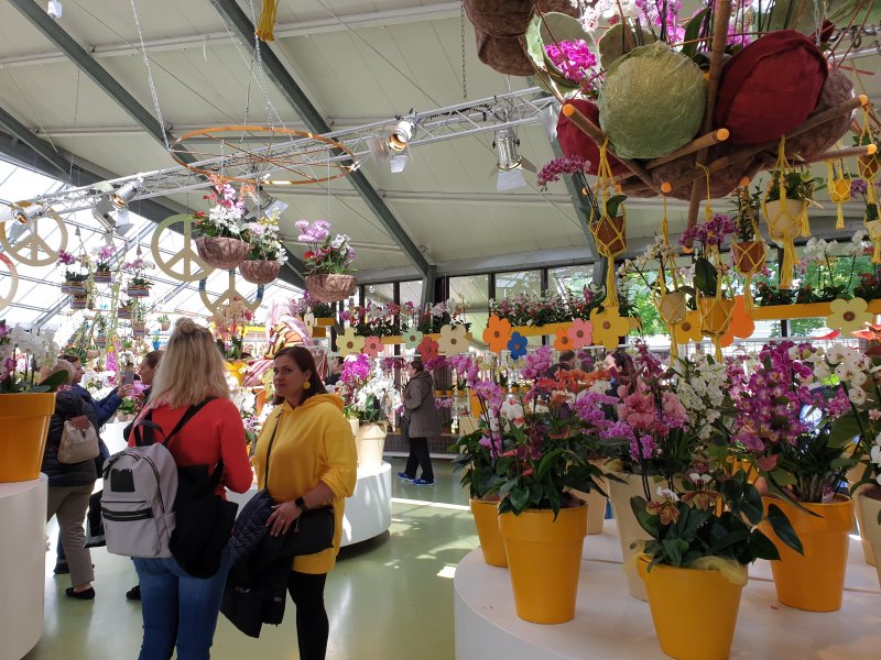 Competitions for the best flowers were held in the Pavilion