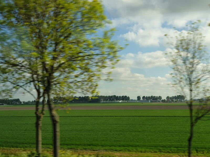 Naturally beautiful Dutch Countryside - flat, lush terrain.