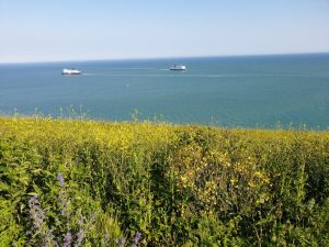 Hiking along the cliffs among wildflowers, looking out to the Dover Strait