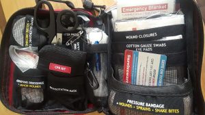 Surviveware First Aid Kit and Biodegradable Wet Wipes