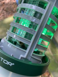 Insect-O-Cutor Nomad LED flykiller with dead wasp