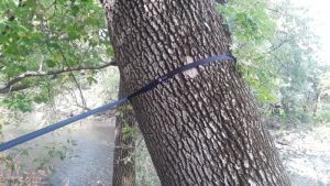 The Onewind Hammock Tree Strap