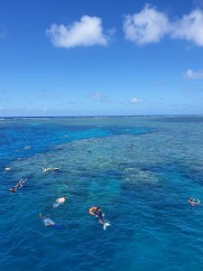 Great Barrier Reef adventures
