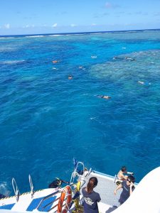 Diving and snorkeling in the Great Barrier Reef