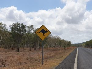 Cairns to Cooktown