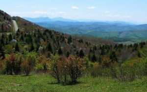 Grayson Highlands State Park Great Camping Spots in Virginia