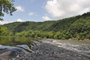 Great Camping spots in Virginia New River State Trail Park