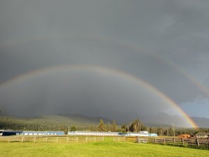 Montana Double Rainbow from Boondockers Welcome host