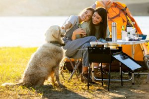 Camping Trip with Your Dog
