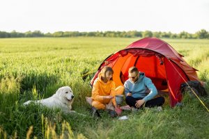 Camping Trip with Your Dog