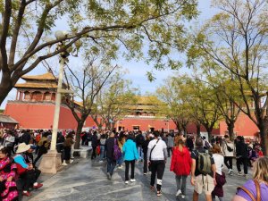 The size of the place was deceptive and the sections of the Forbidden city seemed to go on forever.